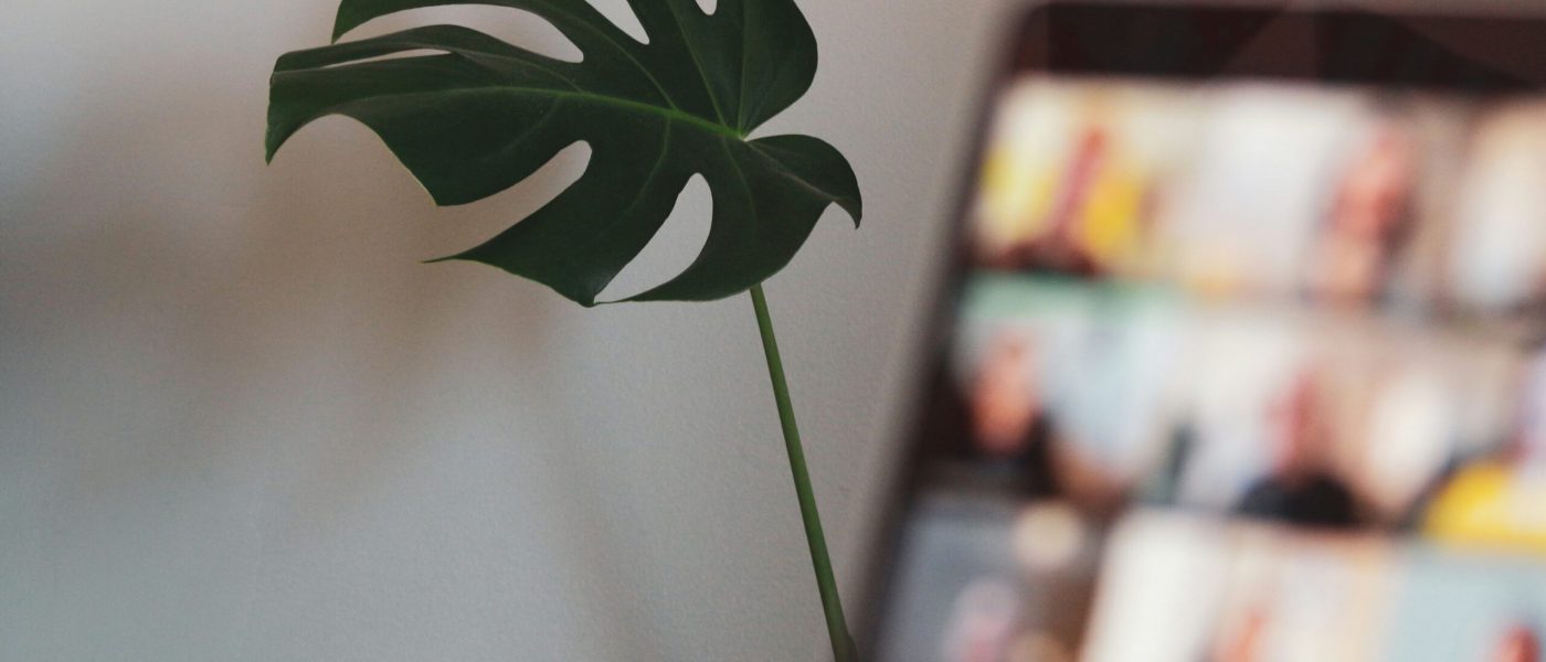 compagnons-CJO9xWDVGXU-unsplash